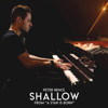 Shallow - Peter Bence