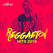 Reggaeton Hits 2019 - Various Artists