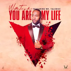 You Are My Life (feat. Mr. Talkbox) - Single by Willie Taylor album reviews, ratings, credits