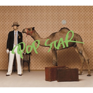 POP STAR - Single