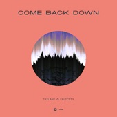 Come Back Down artwork