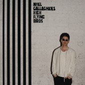 Noel Gallagher's High Flying Birds - Lock All the Doors