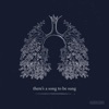 There's a Song to Be Sung - Single