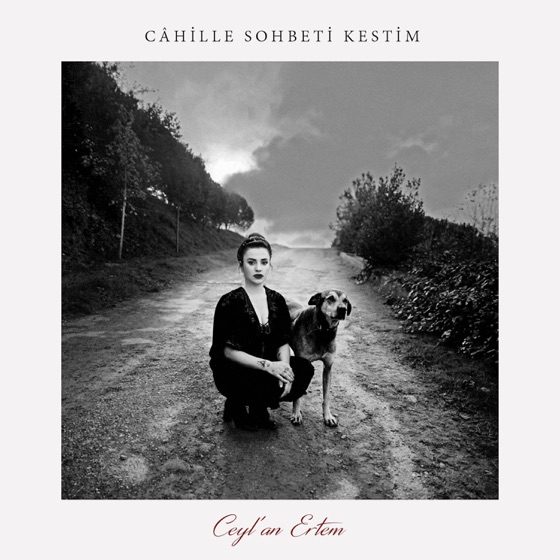 Cover artwork for Fosforlu Cevriye (feat. Yusuf Taşkın)