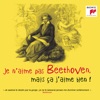 Je n'aime pas Beethoven, mais ça j'aime bien !