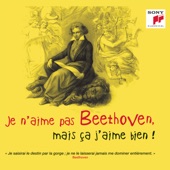 Je n'aime pas Beethoven, mais ça j'aime bien ! artwork