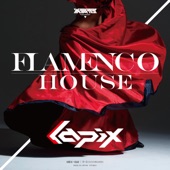 Flamenco House artwork