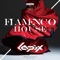 Flamenco House artwork