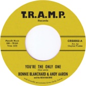 You're the Only One (feat. Bonnie Blanchard & The Mean Machine) artwork