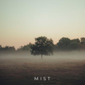 Mist artwork