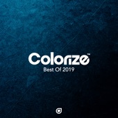 Colorize - Best of 2019 (DJ MIX) artwork