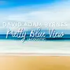Pretty Blue View (Acoustic) - Single album lyrics, reviews, download