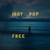 IGGY POP: "FREE" NUEVO Nº1 DE ALBUMES EN PYD
