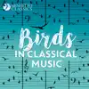 Peter and the Wolf, Op. 67: II. The Bird (Instrumental Version) song lyrics