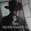 No Huyas de Mi - Single