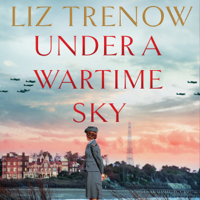 Liz Trenow - Under a Wartime Sky artwork