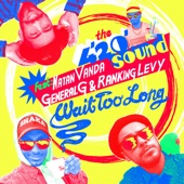 Wait Too Long (feat. Ranking Levy, General G & Natan Vanda) artwork