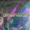 Letting You Go - Single album lyrics, reviews, download