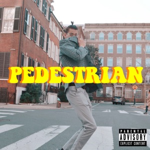Pedestrian - Single