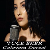 Gelevera Deresi artwork