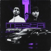 TESLA artwork