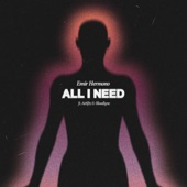 All I Need (feat. Airliftz & Bloodlyne) artwork