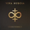 Algunos Tenemos Fe by Viva Suecia iTunes Track 1