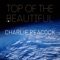 Top of the Beautiful (feat. Sam Ashworth) - Charlie Peacock lyrics