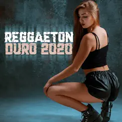Reggaeton Duro 2020 by Various Artists album reviews, ratings, credits