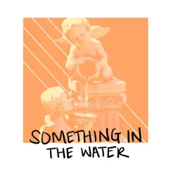 Something in the Water - Single by The Attire album reviews, ratings, credits