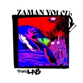 Zaman Yolcusu (feat. Da Poet & İdil Meşe) artwork