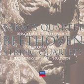 Beethoven: The Middle String Quartets artwork