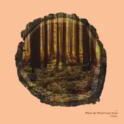 Where the Wood Came From - Single - Gil Dor