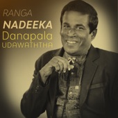 Ranga Nadeeka artwork