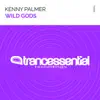 Stream & download Wild Gods - Single