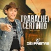 Trabalhei Certinho - Single