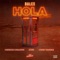 Hola (feat. Juhn & Dímelo Flow) [Remix] artwork