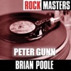 Rock Masters: Peter Gunn artwork