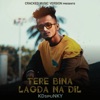 KDspuNKY - Tere Bina Lagda Na Dil