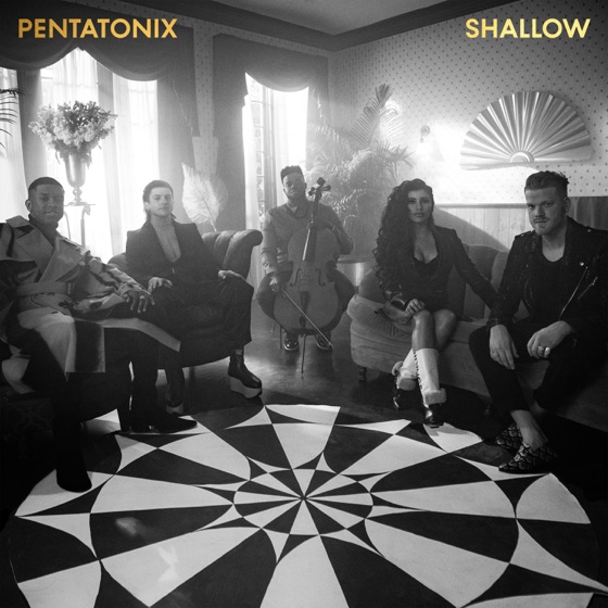 Cover artwork for Shallow