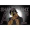 Shane Jahi Art Theme Song - Amero$ lyrics