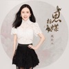魏新雨 - 相思蝶