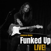 Funked up Live! artwork