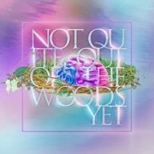 Not Quite Out of the Woods Yet artwork