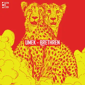 Brethren by Umek song reviws