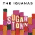 Sugar Town album cover