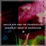 Drown My Heart In Moonshine
