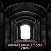 Amores Meus Amores artwork