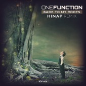 Back to My Roots (Hinap Remix) artwork