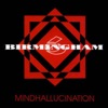 Mindhallucination